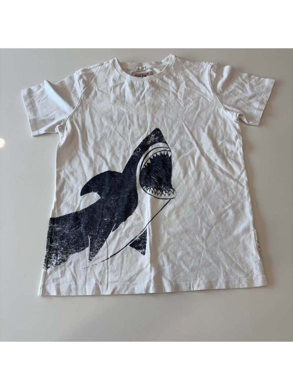 Fat Face Boys 12-13 Y Shark Snack T-Shirt